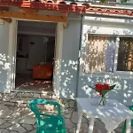 Coral Saranda